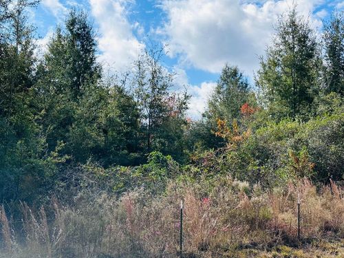 0 Nw 126th St, Chiefland, FL, 32626 | Card Image