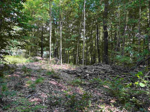 116 Knoll One, Leroy, MI, 49655-9414 | Card Image