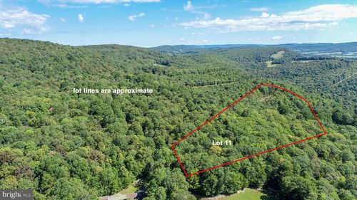 Lot 11 Turkey Run Rd, Accident, MD, 21520 | Card Image