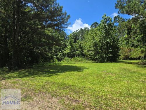 1 Acre Ga Highway 251, Townsend, GA, 31331 | Card Image