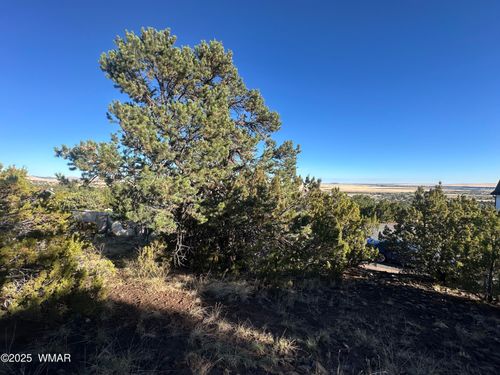 1665 W Valley Vista Dr, Eagar, AZ, 85925-9725 | Card Image