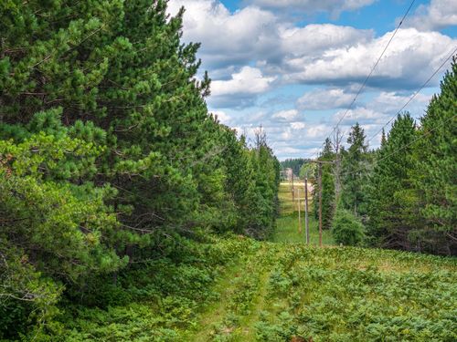 Tract C Hwy 21, Babbitt, MN, 55706 | Card Image