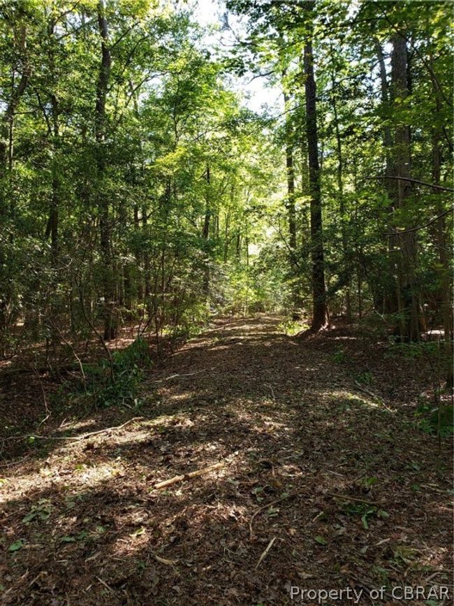 0 Potato Neck Rd, Home with 0 bedrooms, 0 bathrooms and null parking in Port Haywood VA | Image 5