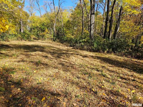 4.2 Acres Zachary Avenue, Montpelier, IA, 52759-8815 | Card Image