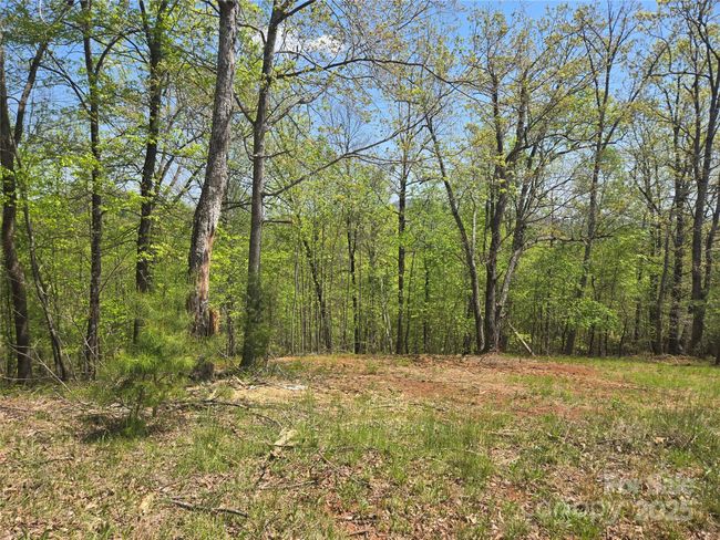 Lot 23 High Rock Rdg, Home with 0 bedrooms, 0 bathrooms and null parking in Lake Lure NC | Image 10