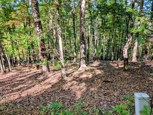 LOT 30 Rocky Knob, Young Harris, GA, 30582 | Card Image