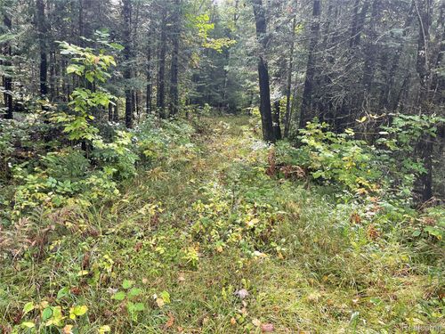 0 State Highway M28, Newberry, MI, 49868 | Card Image