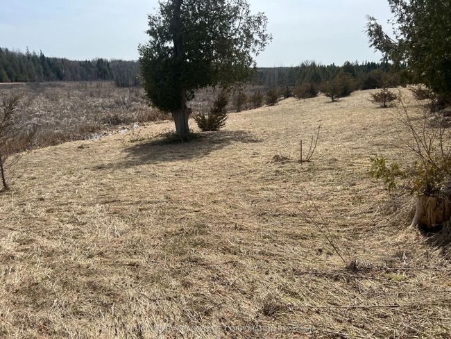 12 - 00 County Rd 13 E, Home with 0 bedrooms, 0 bathrooms and null parking in Hastings ON | Image 4