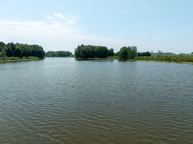 18 N Stephens Rd, Home with 0 bedrooms, 0 bathrooms and null parking in Custer MI | Image 4