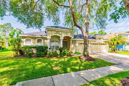 6119 Vireoridge Dr, LITHIA, FL, 33547-4815 | Card Image
