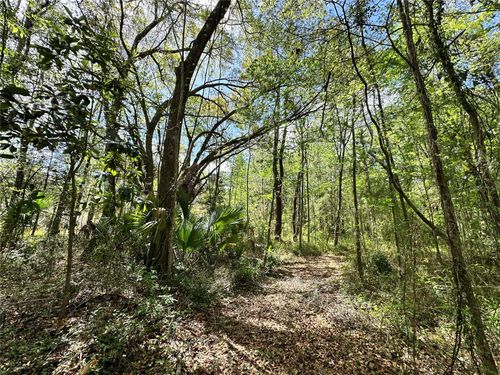 TBD Sw 5th Ln, OCALA, FL, 34481 | Card Image