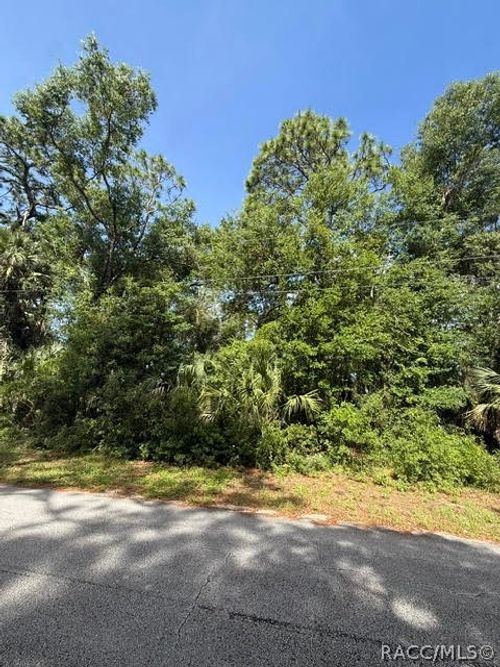444 N Hourglass Ter, CRYSTAL RIVER, FL, 34429-8163 | Card Image