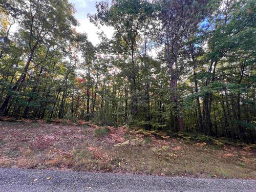 Lot 53 Bramblewood Drive, Haring Charter Township, MI, 49601 | Card Image