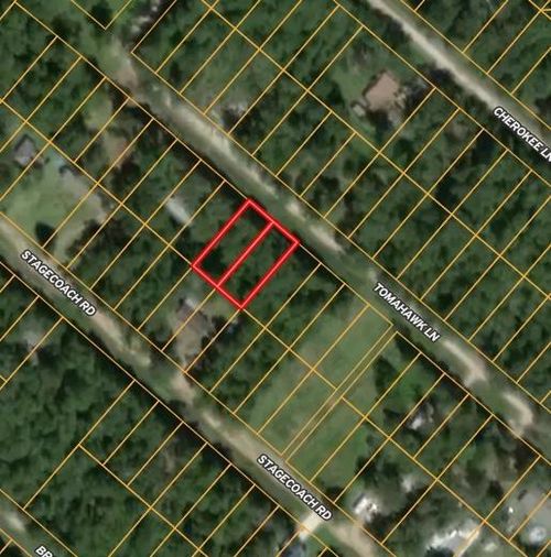 115 Tomahawk Trl, Livingston, TX, 77351-8641 | Card Image