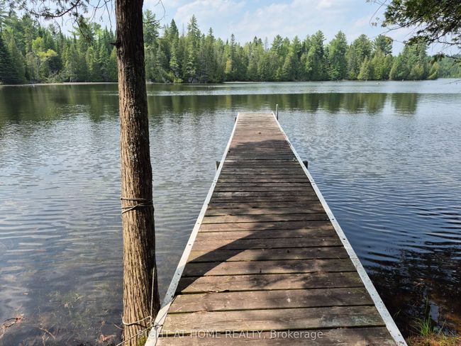 129 Loon Cove Trail, Home with 0 bedrooms, 0 bathrooms and null parking in Douglas ON | Image 10