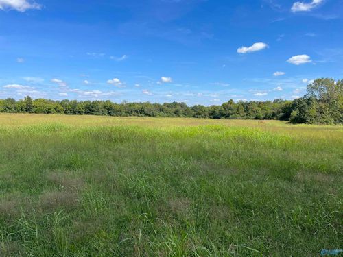 40 Acres County Hwy, Danville, AL, 35619 | Card Image