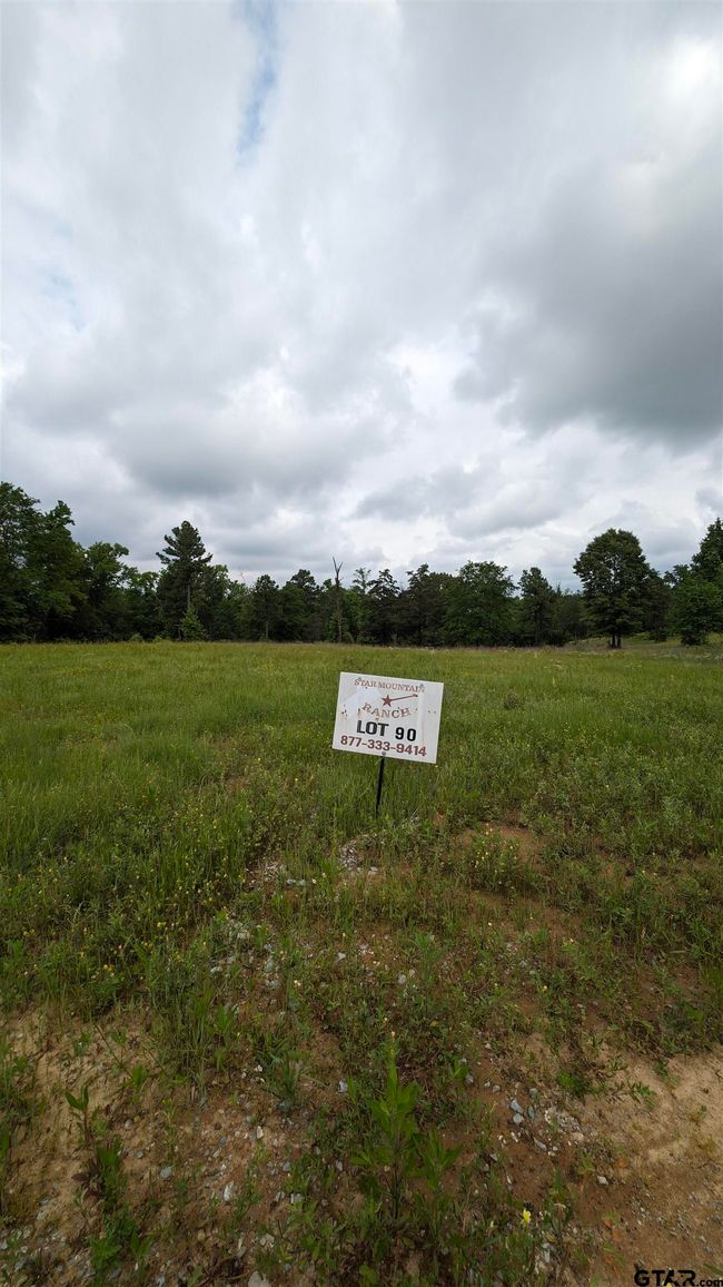 16832 Ridgeline Loop, Home with 0 bedrooms, 0 bathrooms and null parking in Winona TX | Image 5