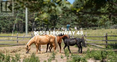 16558 Highway 48, Stouffville, ON, L4A3M6 | Card Image