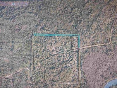 00 Yellow River Log Lake Rd, Home with 0 bedrooms, 0 bathrooms and null parking in Holt FL | Image 1