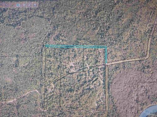 00 Yellow River Log Lake Rd, Holt, FL, 32564 | Card Image