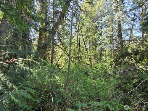 0 Falls Rd, Randle, WA, 98377 | Card Image