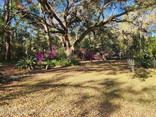 16227 Tascosa Ave, Brooksville, FL, 34604-8416 | Card Image