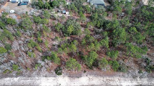 9188 Tiffin Ter, CITRUS SPRINGS, FL, 34434 | Card Image