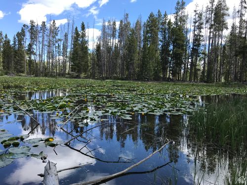 18-2045 Still Water Loop, Kamas, UT, 84036 | Card Image