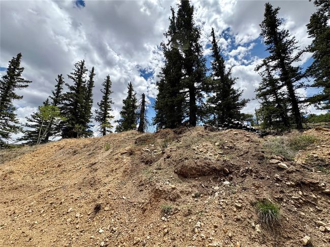 View of local wilderness | Image 31