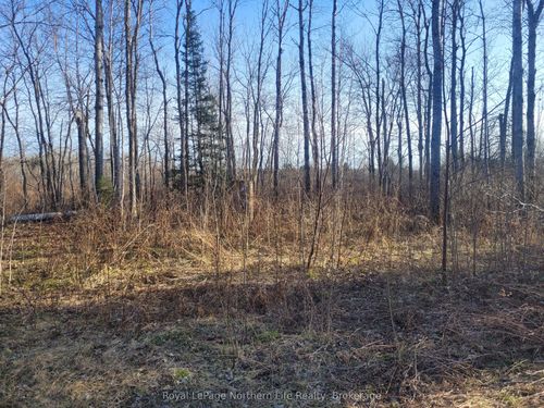 44 Poplar Rd, Mattawa, ON, P0H1V0 | Card Image