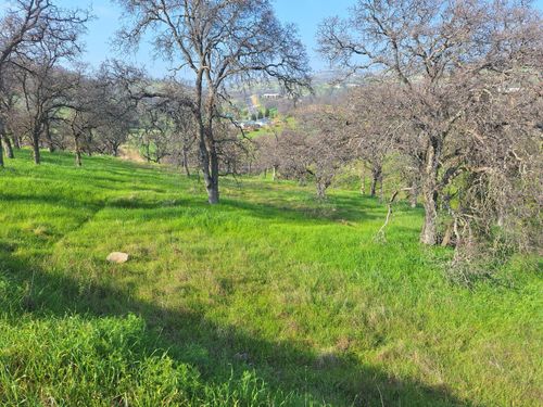 9000 Capullo Cir, La Grange, CA, 95329 | Card Image