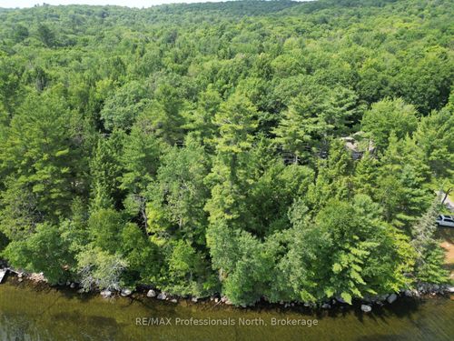 0 Halls Lake Rd, Algonquin Highlands, ON, K0M1S0 | Card Image