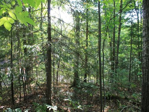 Lot 16 N Alpine Dr, Upson, WI, 54565 | Card Image