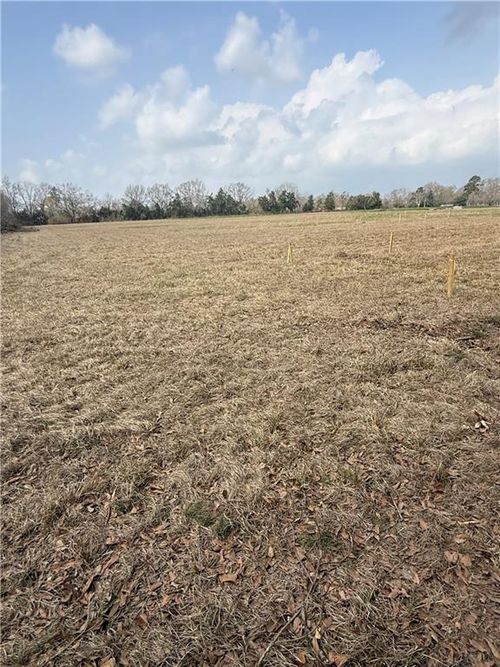 Tract 1-H Highway 1187 Highway, Mansura, LA, 71350 | Card Image
