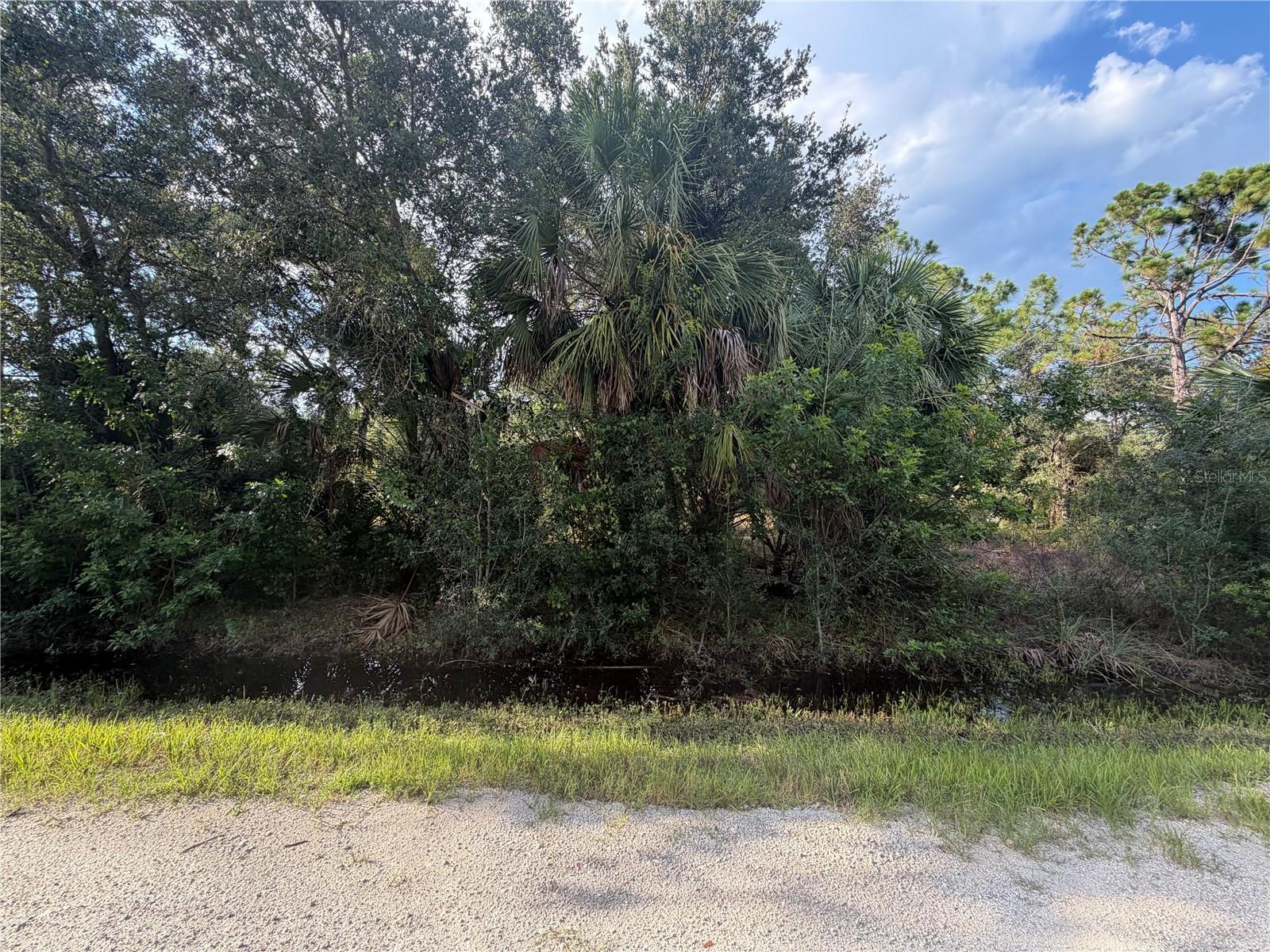 Land in PUNTA GORDA