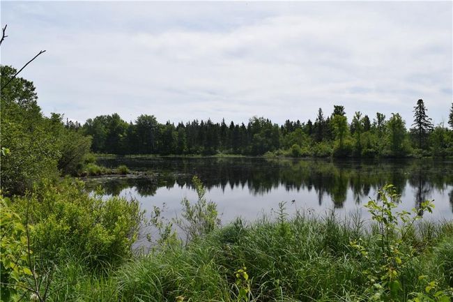 N9197 Fedyn Rd, House other with 4 bedrooms, 3 bathrooms and null parking in LADYSMITH WI | Image 26