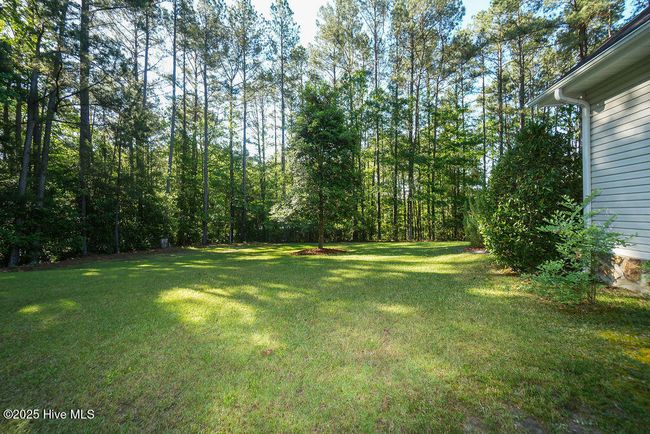 925 Niagara Carthage Rd, House other with 3 bedrooms, 2 bathrooms and 8 parking in Carthage NC | Image 25