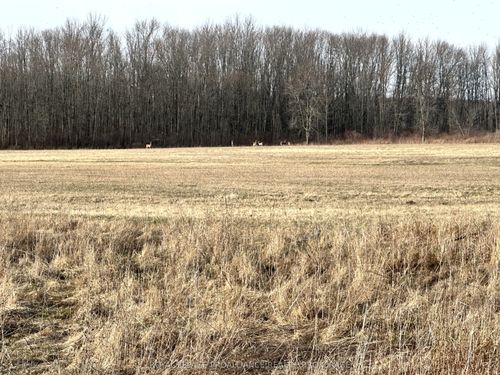 68 Concession Rd 3, Stella, ON, K0H2S0 | Card Image