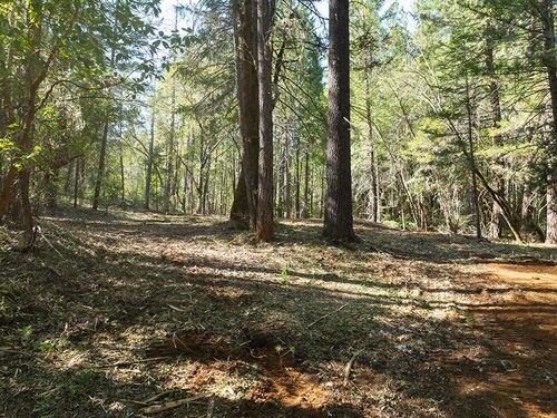 12060 Redwood Hwy, Wilderville, OR, 97543-9085 | Card Image