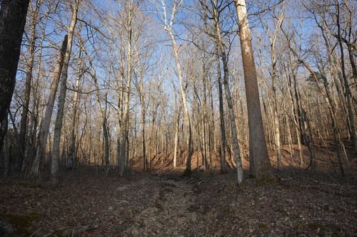 4 John Ross Hollow Ln, Erin, TN, 37061 | Card Image