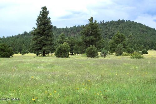 LOT 5B Red Cabin Ranch, Vernon, AZ, 85940 | Card Image