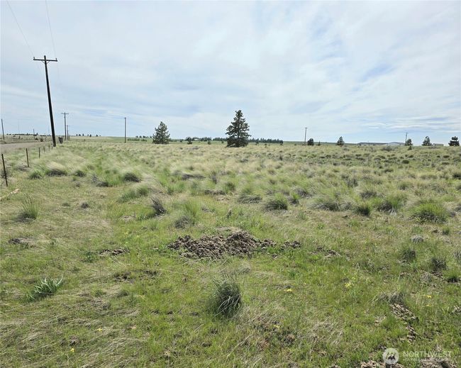 180 Middle Rd, Home with 0 bedrooms, 0 bathrooms and null parking in Bickleton WA | Image 10