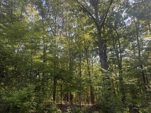 147 Wild Turkey Ct, Summertown, TN, 38483-5169 | Card Image