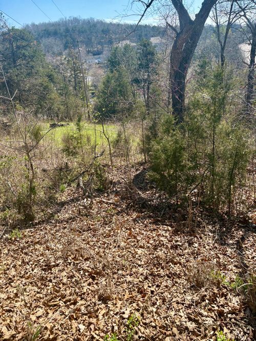 180 Green Briar Dr, Branson, MO, 65616-9113 | Card Image