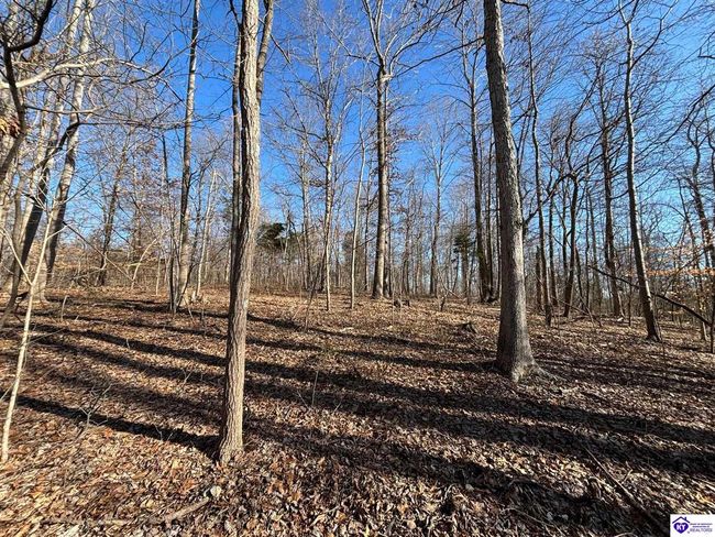 627 New State Rd, Home with 0 bedrooms, 0 bathrooms and null parking in Webster KY | Image 8