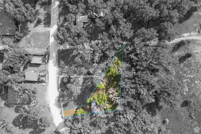 View of property location with property parcel outlined | Image 50