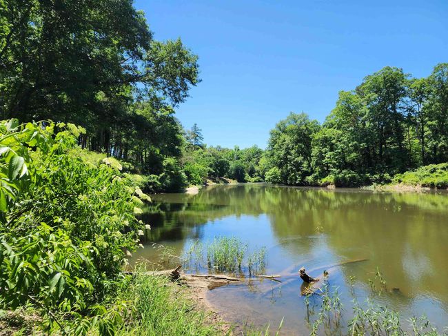1011 Polk Road 38, House other with 2 bedrooms, 2 bathrooms and null parking in Hatfield AR | Image 24