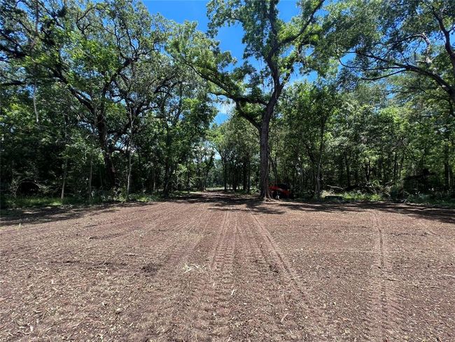 658 Pony Trl, Home with 0 bedrooms, 0 bathrooms and null parking in Angleton TX | Image 4