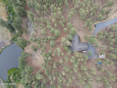 1629-3 ACR Acr 1029, Greer, AZ, 85927-9700 | Card Image