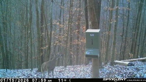 1465 King Bend Rd, Cumberland Gap, TN, 37724 | Card Image